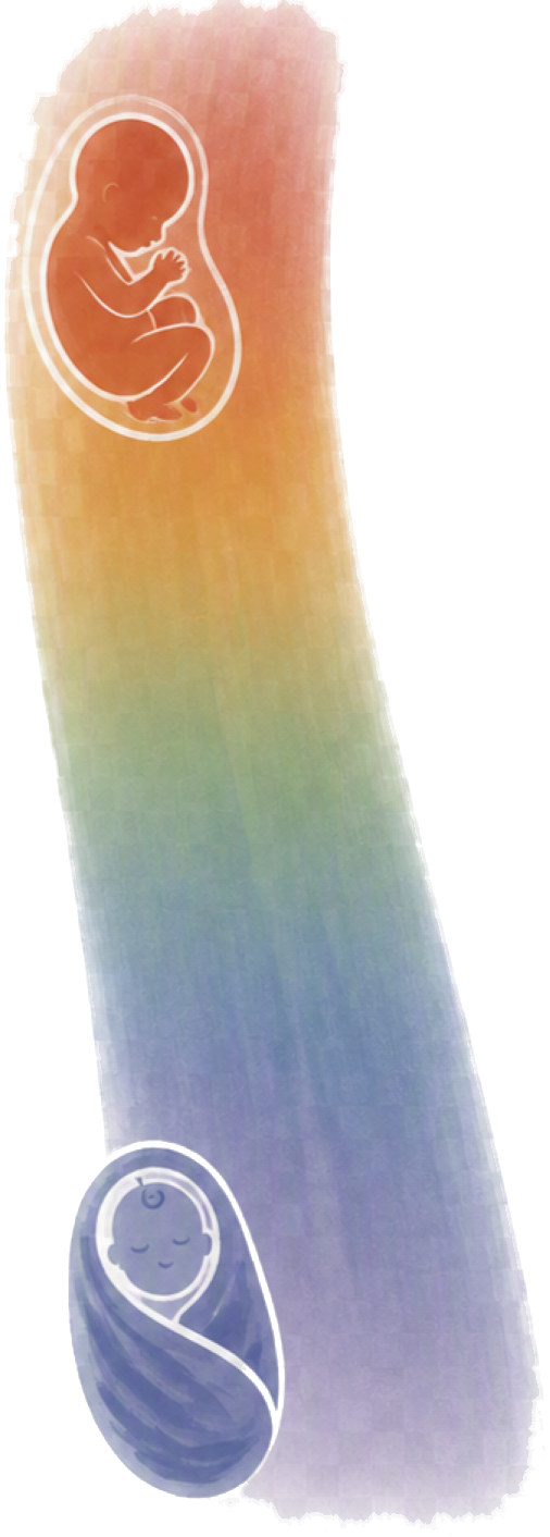 Illustrated rainbow arc curving from a baby in the womb down to a swaddled newborn